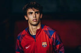 【回放】2025F1阿布扎比大奖赛 排位赛 圈速信息